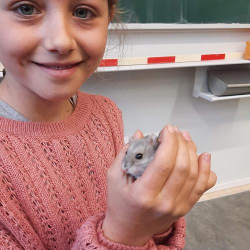 Mädchen mit Hamster