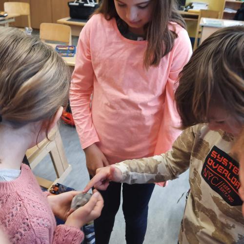 Schulkinder mit Hamster