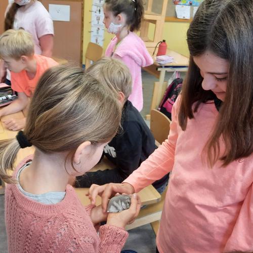 Schulkinder mit Hamster